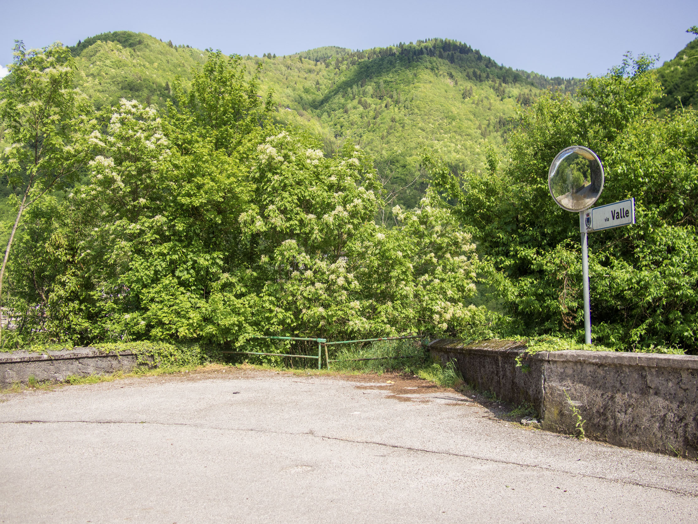 A rusted gate overgrown with vegetation with Monte Grappa in the background. Two brothers fell into the gorge two years apart from here.