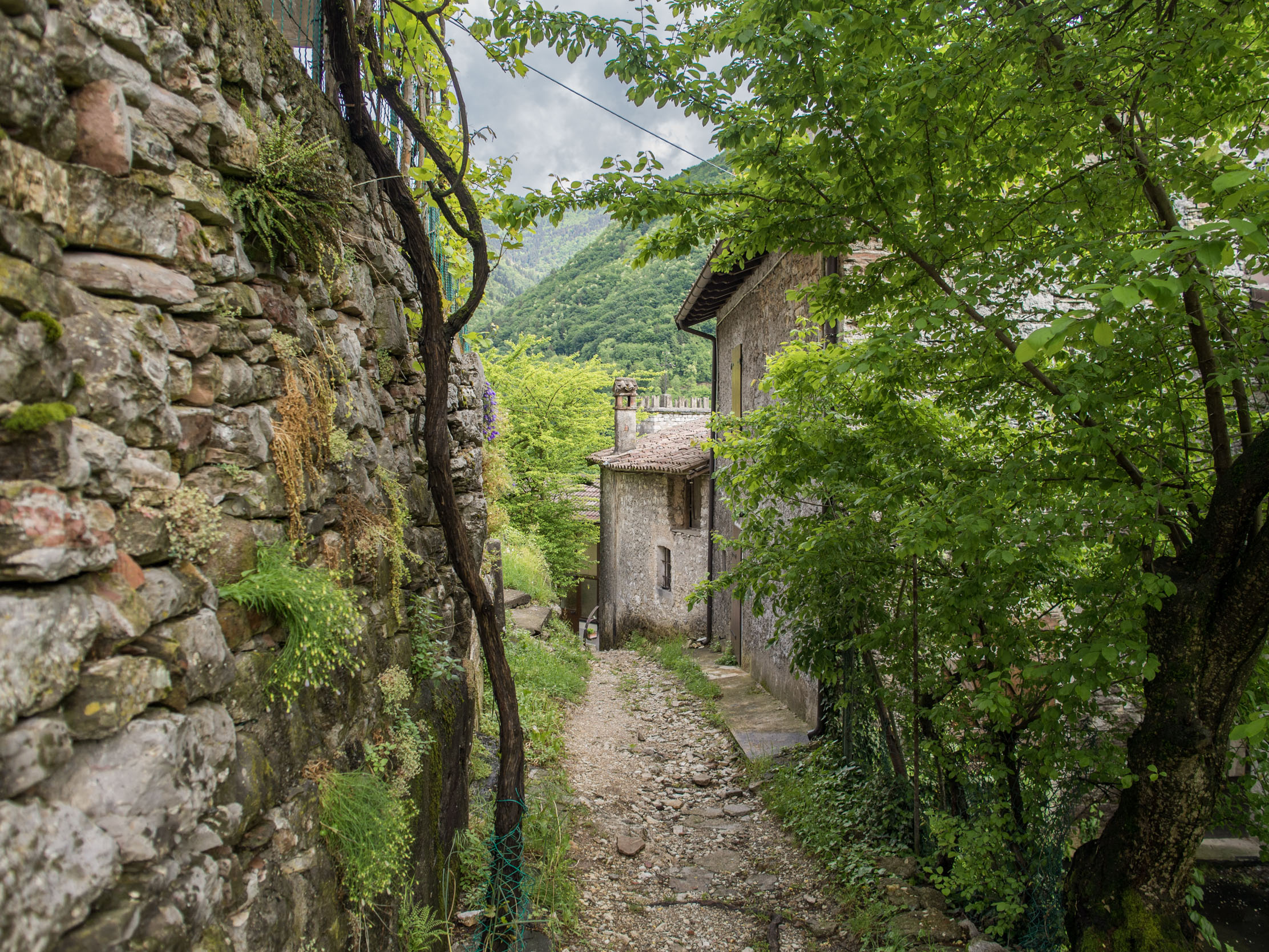 A footpath through the upper section of Incino