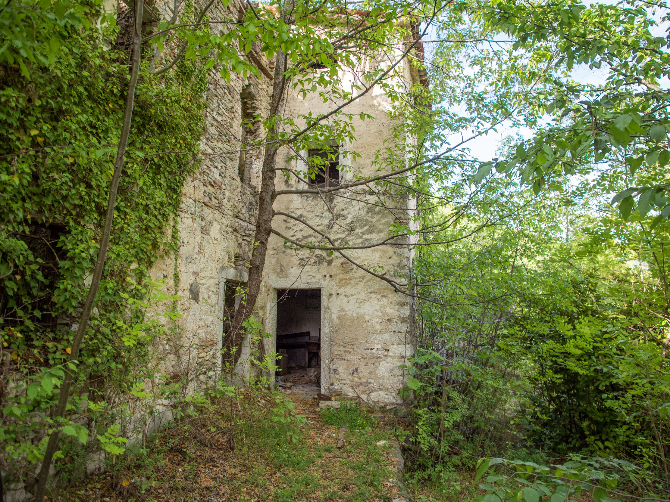 Windowless stone houses with a full-size tree growing out of a doorway in the hamlet of Martinati, near Incino