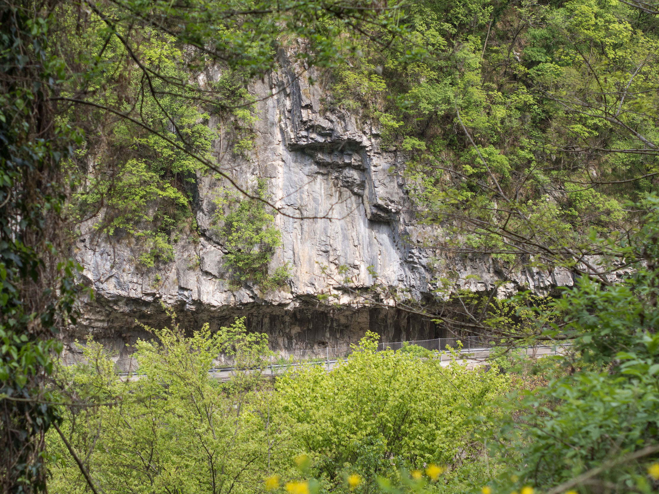 View of Pala della Renga Road between Cismon and Incino, carved into the cliff