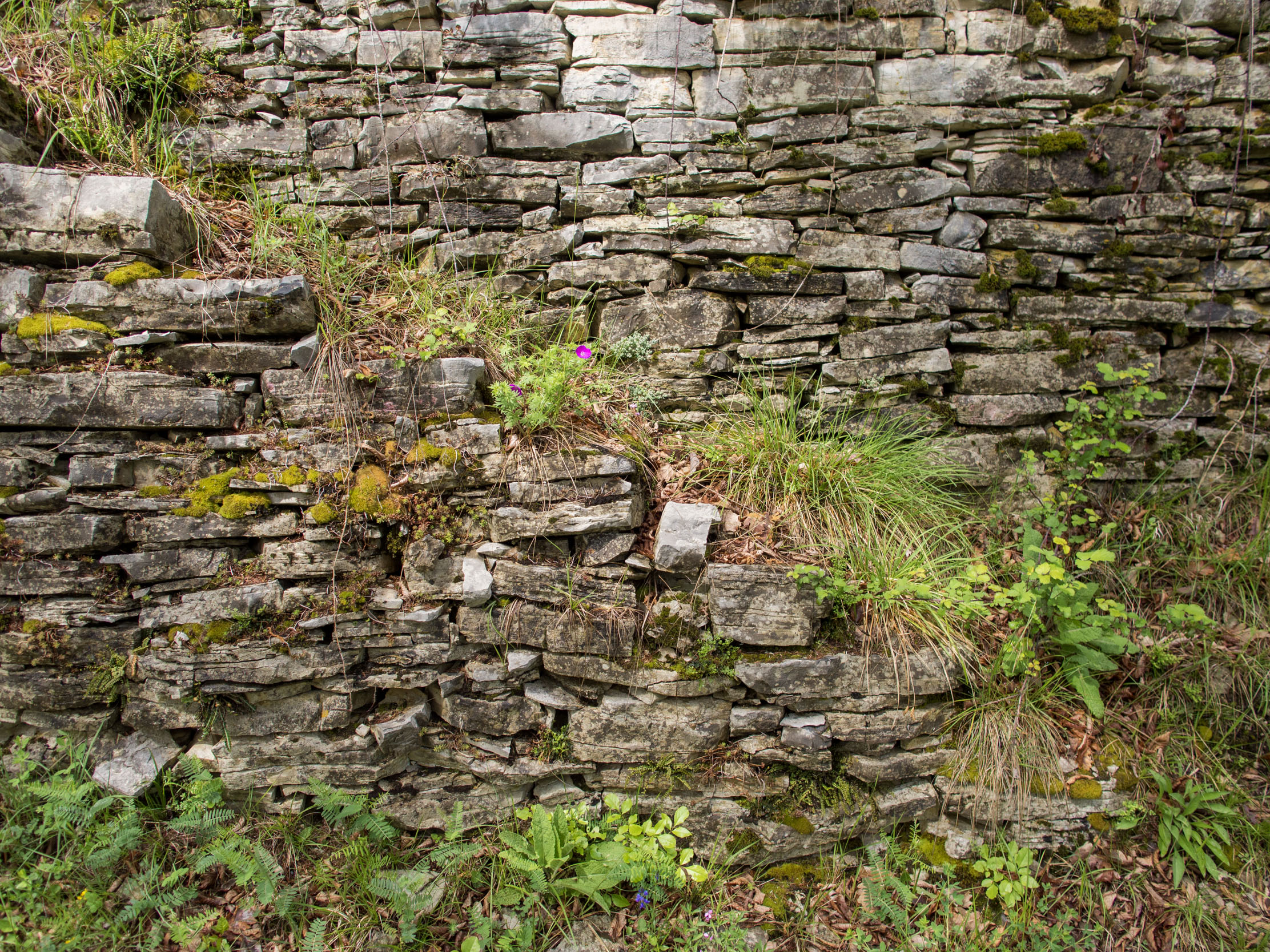 Stairs on a terrace retaining wall